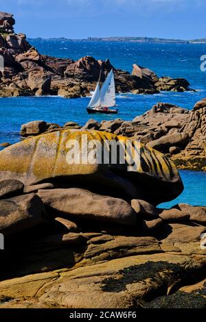 Frankreich, Côtes-d'Armor (22), Perros-Guirec, Ploumanac'h, côte de Granit Rose, Segelschiff Stockfoto