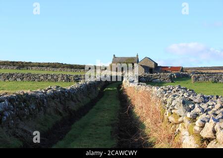 Ländliche Farm Stockfoto