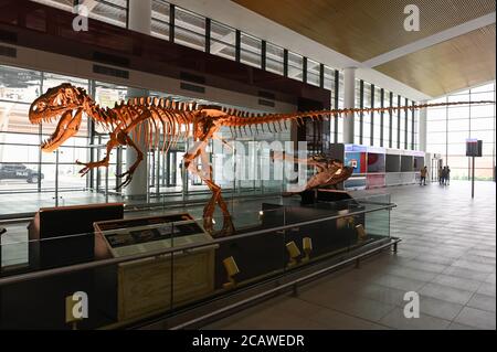 NIGER, Niamey, Flughafen, fossile Knochen des Dinosauriers Afrovenator abakensis / Dinosaurier Skelett am Flughafen Stockfoto