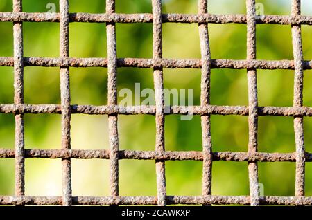 Rostiger Zaun aus Metallgeflecht, quadratische Zellen, vor einem Hintergrund von verschwommenem grünem Laub. Nahaufnahme Stockfoto