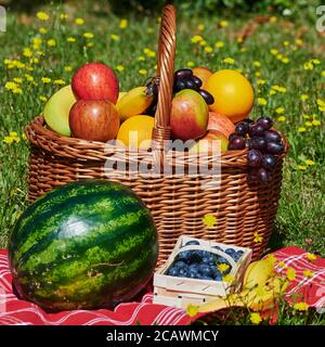 Korb mit verschiedenen Früchten im Sonnenlicht auf einer Wiese mit gelben Blüten. Stockfoto