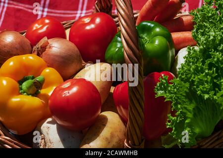 Makroaufnahme eines Korbes mit verschiedenen Gemüse im Sonnenlicht. Stockfoto
