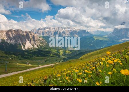 Landschaftlich reizvolle Ansicht der verwackelten Sella-Gruppe mit gelben Ranunkeln im Vordergrund vom Seceda Berg, Dolomiten, Trentino Alto A Stockfoto