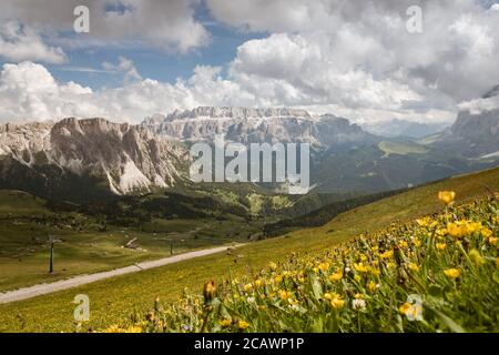 Landschaftlich reizvolle Aussicht auf die Sella-Gruppe mit gelben Butterblumen ranunculus im Vordergrund vom Seceda Berg, Dolomiten, Trentino Südtirol, so Stockfoto