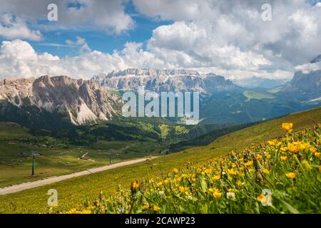 Landschaftlich reizvolle Aussicht auf die Sella-Gruppe mit gelben Butterblumen ranunculus im Vordergrund vom Seceda Berg, Dolomiten, Trentino Südtirol, so Stockfoto