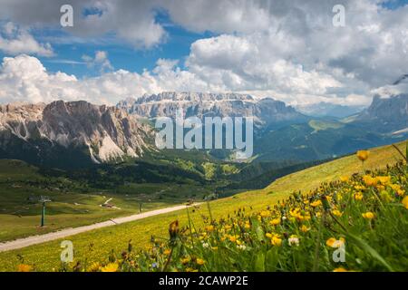 Landschaftlich reizvolle Aussicht auf die Sella-Gruppe mit gelben Butterblumen ranunculus im Vordergrund vom Seceda Berg, Dolomiten, Trentino Südtirol, so Stockfoto