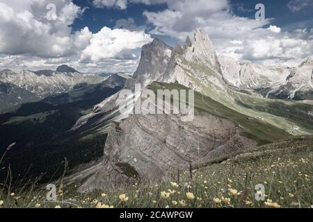 Schöne Aussicht vom Seceda-Gipfel auf die Odles-Gruppe im Sommer, Dolomiten, Trentino-Südtirol, Südtirol, Italien Stockfoto