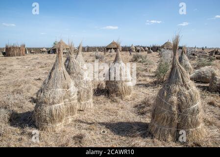 Garben in einem Karamojong-Dorf, Moroto District, Uganda Stockfoto