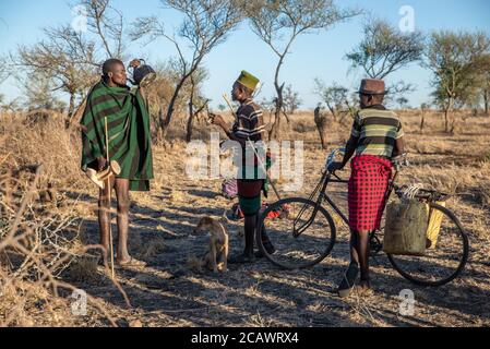 Karamojong Viehhirte mit traditionellen Decken trinken aus einem Wasserkocher, Moroto District, Uganda Stockfoto