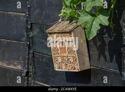 Ein Insektenhotel aus Holz, gefüllt mit Holzspänen und kleinen Bambusstücken mit Löchern, die als Hintergrund an einer dunklen Holzstruktur hängen. Stockfoto