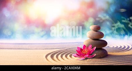 Lotusblume Mit Spa-Steinen Im Rock Garden Stockfoto