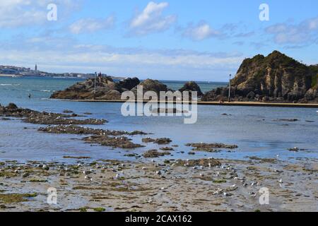 Isla de Santa Cruz ist eine spanische Insel in der Provinz La Corua, vor der Stadt Porto de Santa Cruz, in Galicien, Spanien Stockfoto