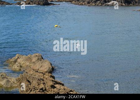 Isla de Santa Cruz ist eine spanische Insel in der Provinz La Corua, vor der Stadt Porto de Santa Cruz, in Galicien, Spanien Stockfoto