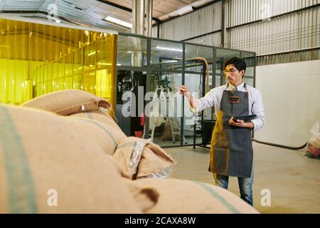 Rösterei Besitzer mit digitalen Tablet in den Händen Zählen Säcke mit Kaffeebohnen im Lager Stockfoto