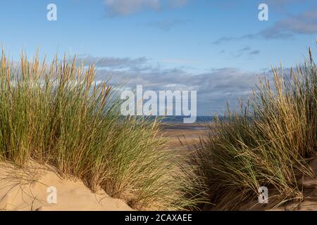 Blick durch das Marrammgras zum Strand, bei Formby in Merseyside Stockfoto