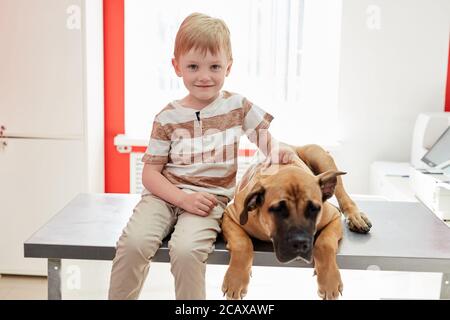 Portrait von freundlichen Hund mit Kind Junge, niedlichen Jungen sitzen mit großen Haustier auf dem Tisch, warten auf medizinische Untersuchung in Tierarztklinik Stockfoto