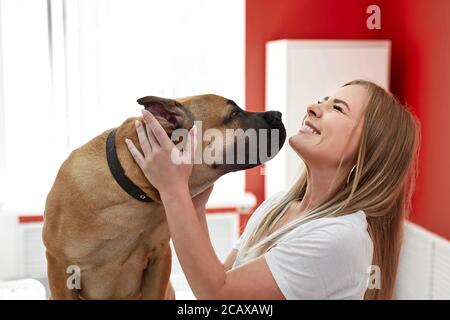 Portrait von attraktiven Mädchen mit schönen Haustier Hund in Tierarztklinik. kaukasische glückliche Frau umarmt seine freundliche Mastiff Hund Stockfoto