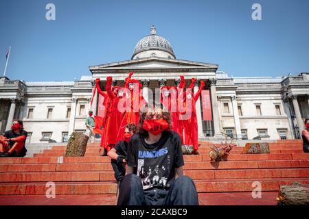 09/08/20 London, Vereinigtes Königreich. XR-Aktivisten haben die Treppen des Trafalgar Square abgedeckt. Mit gefälschtem Blut zum Internationalen Tag der indigenen Völker der Welt Stockfoto