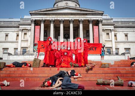 09/08/20 London, Vereinigtes Königreich. XR-Aktivisten haben die Treppen des Trafalgar Square abgedeckt. Mit gefälschtem Blut zum Internationalen Tag der indigenen Völker der Welt Stockfoto