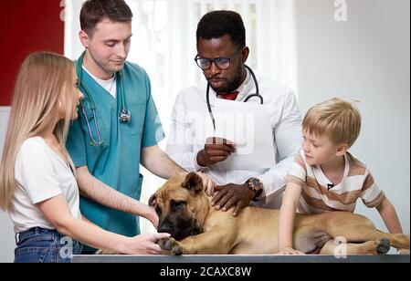 Schwarzer Arzt Tierarzt und sein kaukasischer Assistent untersuchen Tier, Hund liegen auf dem Tisch beim Check-up Stockfoto