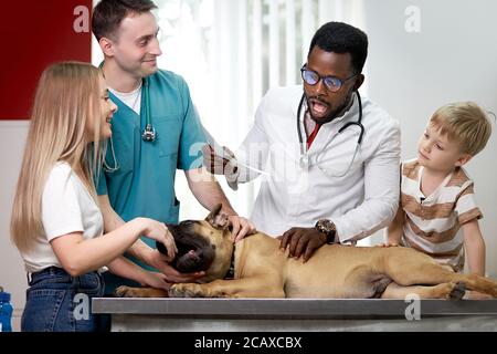 Freundliche woma und Kind kamen zum Tierarzt mit einem Hund, sie wollen, dass der Tierarzt ihren geliebten Hund heilen, ihn untersuchen Stockfoto