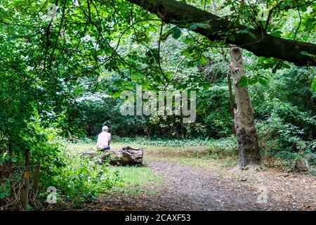 Ein Mann sitzt allein auf einem umgestürzten Baumstamm Eine Lichtung im Wald Stockfoto