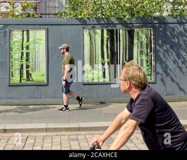 Baum umarmt Street Art in der Handelsstadt Glasgow Stockfoto