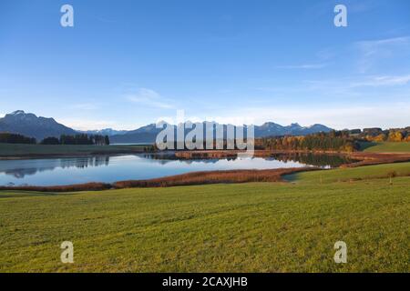 Geographie / Reisen, Deutschland, Bayern, Herbst am Forggensee, Allgäu, Alpen, Voralpen, Schwäbisch, , Additional-Rights-Clearance-Info-not-available Stockfoto