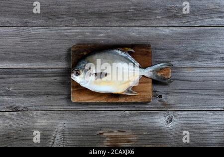 Blick von oben auf einen frischen, ganz silbernen oder weißen Pomfretfisch auf einem hölzernen Servierbrett Stockfoto