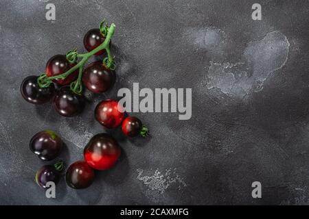 Indigo Rose Erbstück Kirschtomaten auf der Rebe auf gewaschen dunklen Beton Hintergrund, Draufsicht Stockfoto