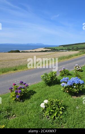August 2020. Dunure, Ayrshire, Schottland, Großbritannien. Die Temperaturen Mitte der zwanziger Jahre scheinen im Widerspruch zu der Unwetterwarnung für die Wochenmitte mit Gewittervorhersage zu stehen. Stockfoto