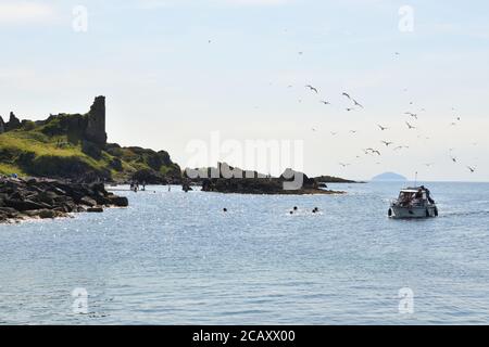 9., Januar,2020. Dunure, Ayrshire, Schottland, Großbritannien. Hot Spot für einen Tag. Küste bei Dunure Castle. Erholung am Meer. Stockfoto