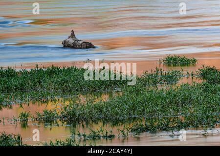 Log mit fließendem verschwommenem Wasser auf New River, West Virginia, USA Stockfoto