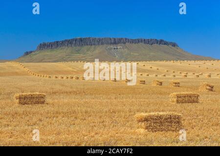 Strohballen im Feld unter Crown butte bei simms, montana Stockfoto