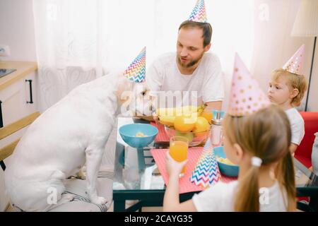 Geburtstagsfeier zu Hause. Lustige Haushund sitzen mit sorgfältigen kaukasischen Besitzer am gleichen Tisch zusammen, tragen Geburtstagsmützen. Menschen und Anima Stockfoto