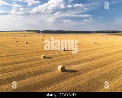 Luftaufnahme von Heuballen im Sommer. Draufsicht auf Heustapel Stockfoto