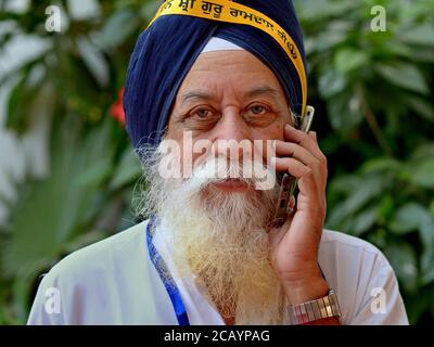 Der alte indische Sikh-Mann mit blauem Turban (dastar) telefoniert mit seinem Handy und schaut in die Kamera. Stockfoto