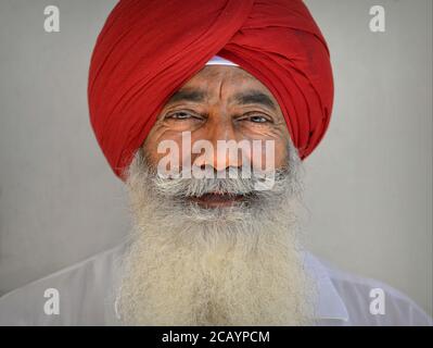 Älterer würdiger indischer Sikh-Mann mit langem Bart trägt einen traditionellen Turban (dastar) in Rot und Posen für die Kamera. Stockfoto