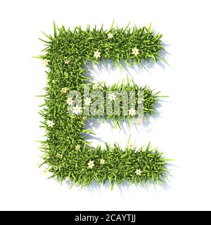 Grass Schrift Buchstabe E 3D Rendering Illustration isoliert auf weiß Hintergrund Stockfoto