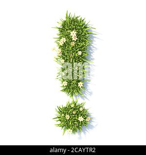 Grass Schriftausrufezeichen 3D-Darstellung isoliert auf weiß Hintergrund Stockfoto
