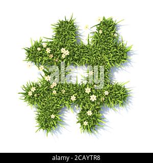 Grass Schrift Hashtag Zeichen 3D Rendering Illustration isoliert auf weiß Hintergrund Stockfoto