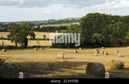 Erntezeit In Oxfordshire Stockfoto