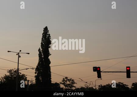 Twilight - von ganz in der Nähe Ohrada Straßenbahnhaltestelle in Prag, können Sie einen Pappel Baum und einige Straßenbahnanlagen zu sehen. Stockfoto