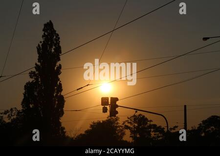 Twilight - von ganz in der Nähe Ohrada Straßenbahnhaltestelle in Prag, können Sie einen Pappelbaum neben der untergehenden Sonne sehen, so eine helle Kugel in den Himmel. Stockfoto