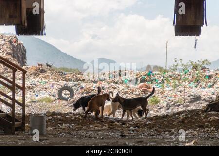 Eine riesige Mülldeponie. Ansammlung von Müll auf Deponien oder Deponien. Verschmutzungskonzept. Stockfoto