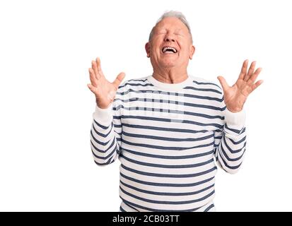 Senior stattlichen grauhaarigen Mann trägt lässig gestreiften Pullover feiert verrückt und verrückt für den Erfolg mit den Armen angehoben und geschlossenen Augen schreien begeistern Stockfoto