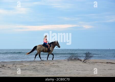 Eine Frau reitet auf ihrem Pferd am Strand entlang der Cape Hatteras National Seashore am Outer Banks von North Carolina. Stockfoto