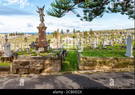 Sydney NSW Australien - 27. Mai 2020 - South Head Friedhof in Vaucluse an einem sonnigen Herbstnachmittag Stockfoto