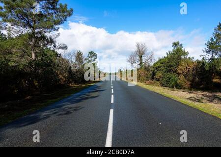 Einsame Straße in der Natur in einen wilden Wald bei Bordeaux. Stockfoto