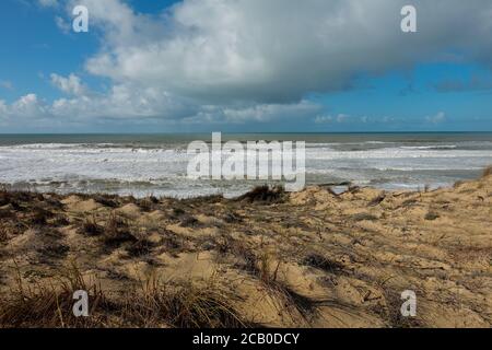 Sandiger natürlicher leerer Strand mit Dünen und Kiefernwald in der Nähe von Lacanau in Frankreich. Stockfoto